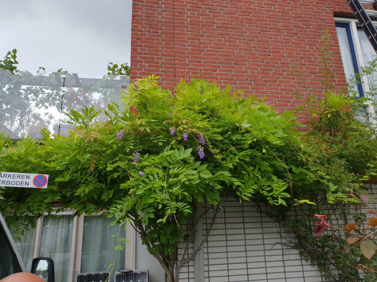 Royale En Schone Met Dakterras Séjour chez l'habitant